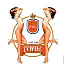 Awatar użytkownika